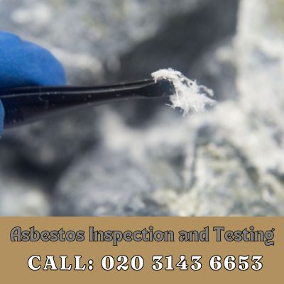 Comprehensive Asbestos Inspection and Testing Services in Southall